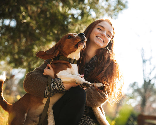 Adventuring with Your Pet: The Ultimate MIGO Pets Gear Guide