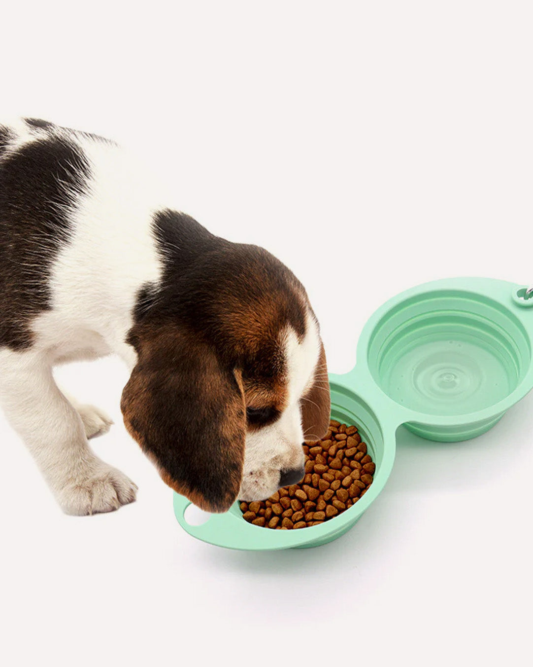 A dog enjoying its meal and drinking water from a cyan collapsible travel double dog bowl.