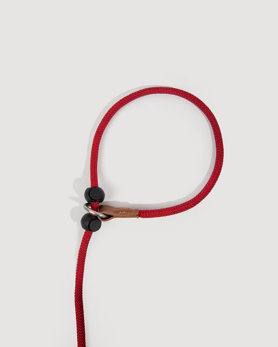 Close-up of the crimson red dog slip lead, highlighting the effect of the black adjuster on the nylon rope.