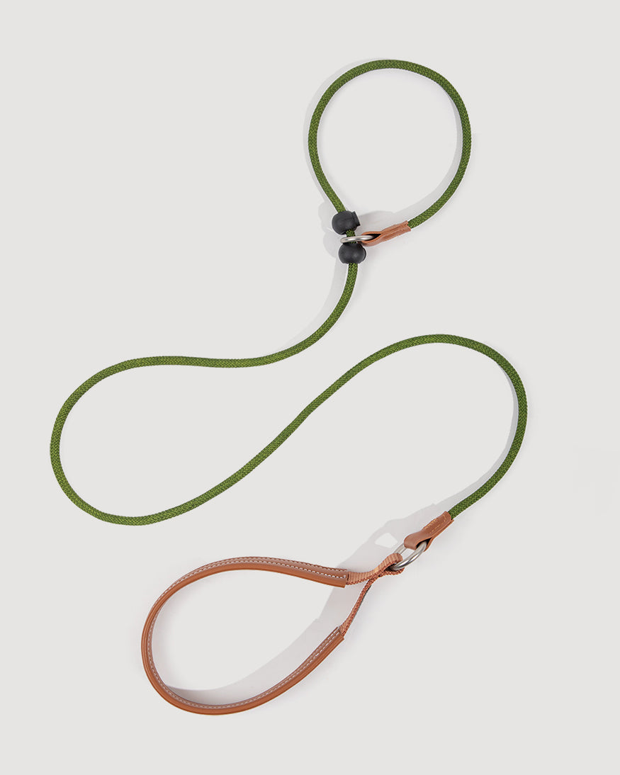 Overview of the dog slip lead in moss green, featuring its complete design.