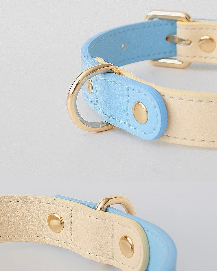 Overview of the eco-friendly two-tone durable genuine leather dog collar in sky blue.