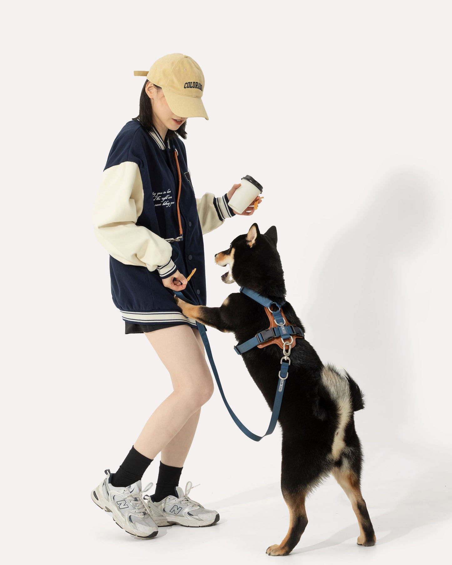 A dog in a navy blue step-in harness, with the owner using a crossbody leash and pouch, freeing hands to interact.