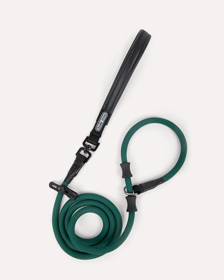 Heavy duty dog slip lead in dark green, showcasing the overall design.