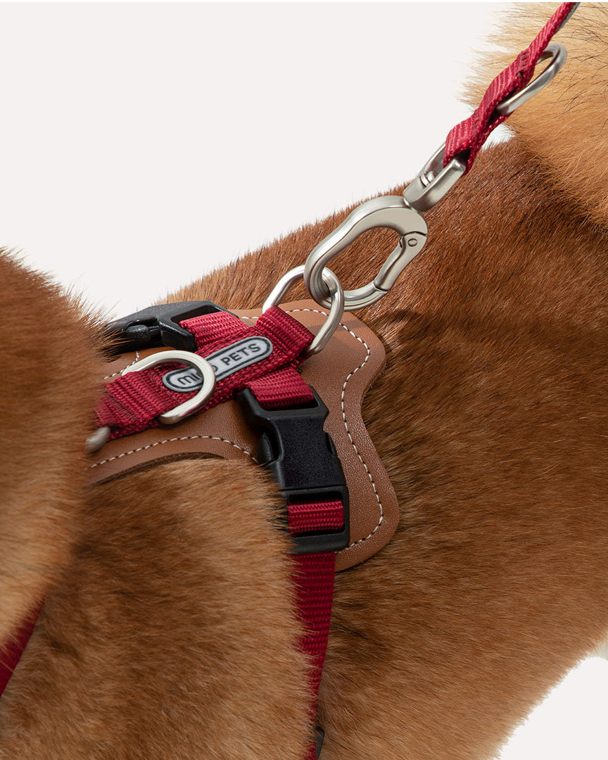 Close-up of the crimson red step-in adjustable dog harness with durable metal hardware and adjustable straps for a secure fit.