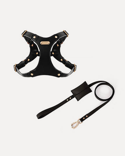 Overview of the black waterproof soft leather dog harness kit, featuring eco-friendly, dirt-resistant leather for easy cleaning.