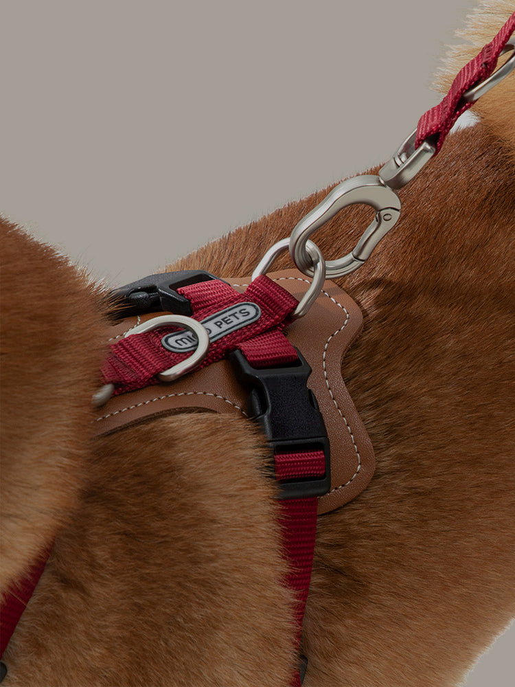 Dog Harnesses