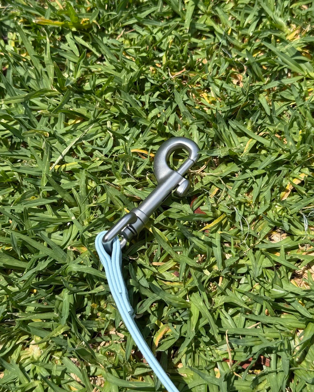 Zinc alloy clip on waterproof dog leash, rust resistant and durable