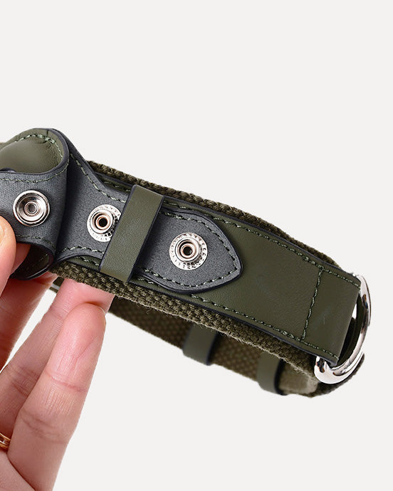 Close-up of the moss green airtag dog collar, highlighting the slot specifically designed for airtag, ensuring secure placement and preventing it from falling out.