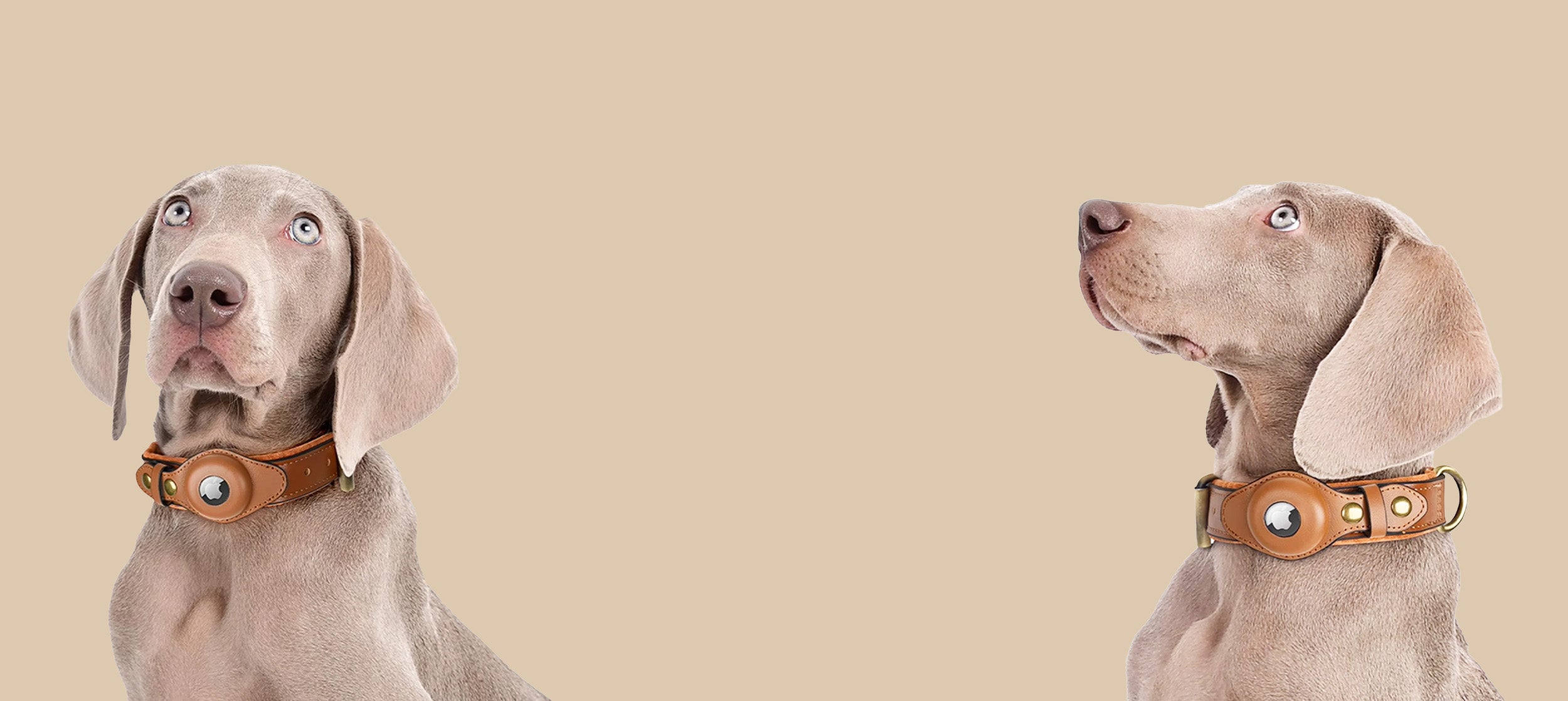 Third banner