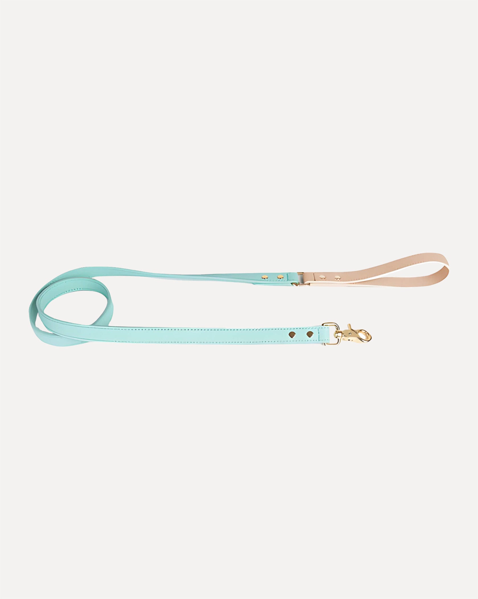 Overview of the eco-friendly two tone genuine leather dog leash in mint, featuring its complete design.