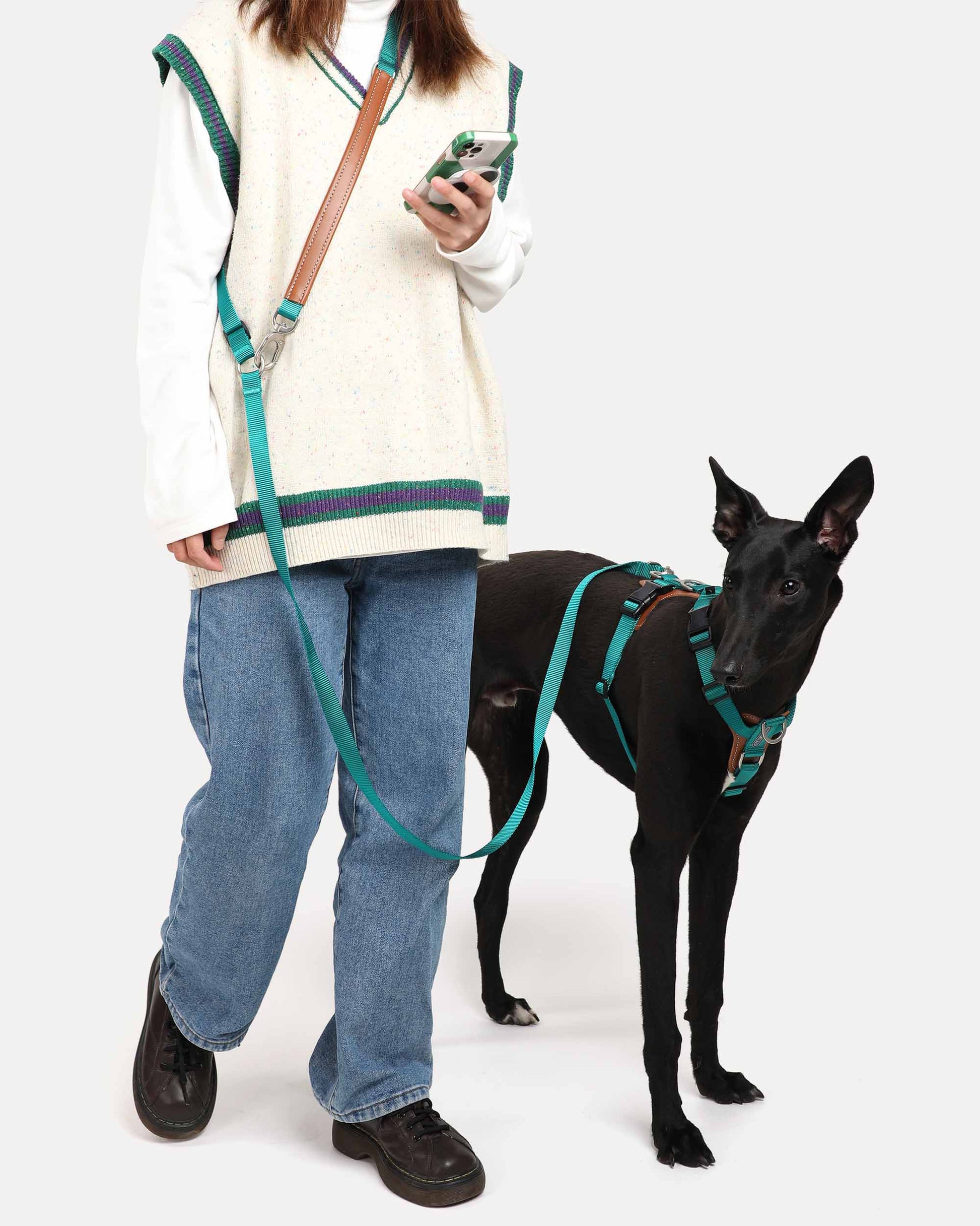 A dog wearing the jade green hands-free crossbody dog leash during a walk, allowing the owner to go hands-free, ideal for long walks or multitasking, such as checking their phone.