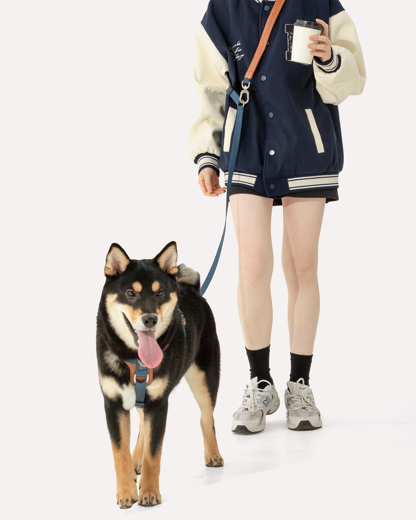 A dog in a navy blue step-in adjustable dog harness, with the owner using a hands-free crossbodydog  leash and a crossbody travel pouch.