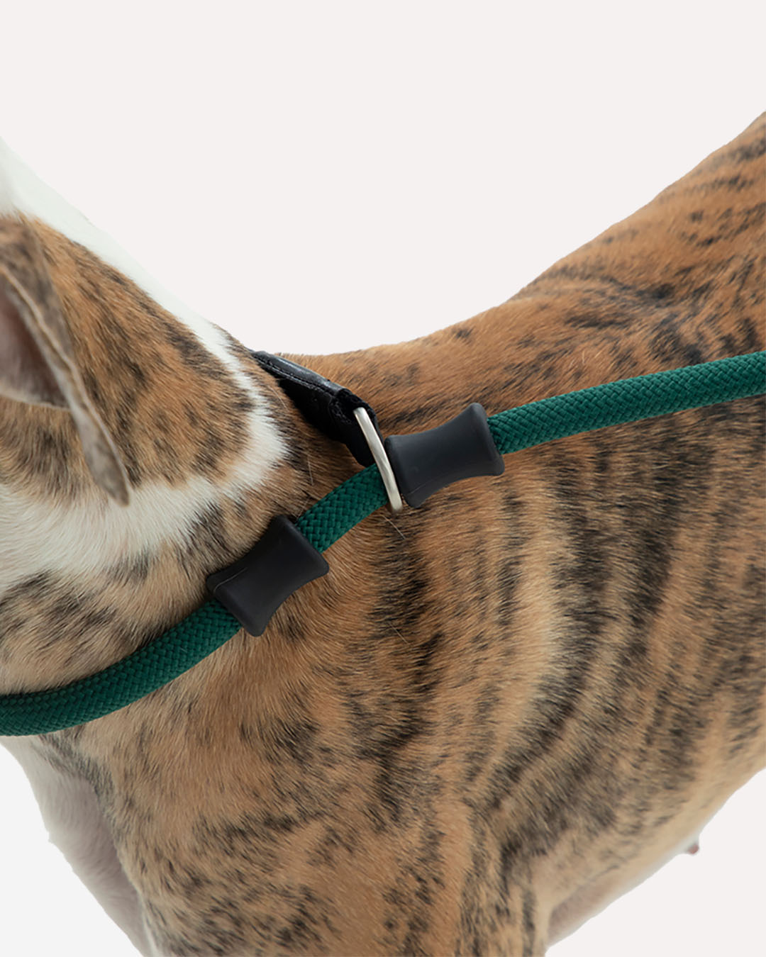 Close-up of the dark green heavy duty dog slip lead, highlighting the silicone stoppers that prevent choking and ensure neck safety.