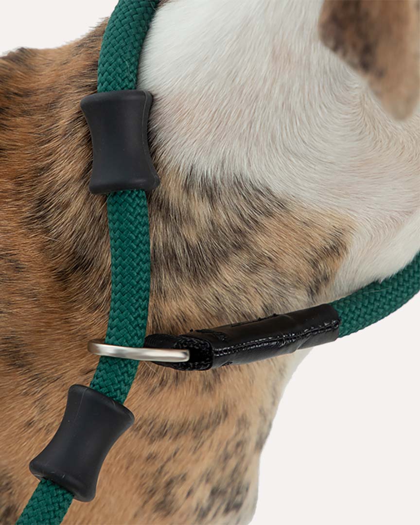 Close-up of the dark green heavy duty dog slip lead, highlighting the silicone stoppers that prevent choking and ensure neck safety.