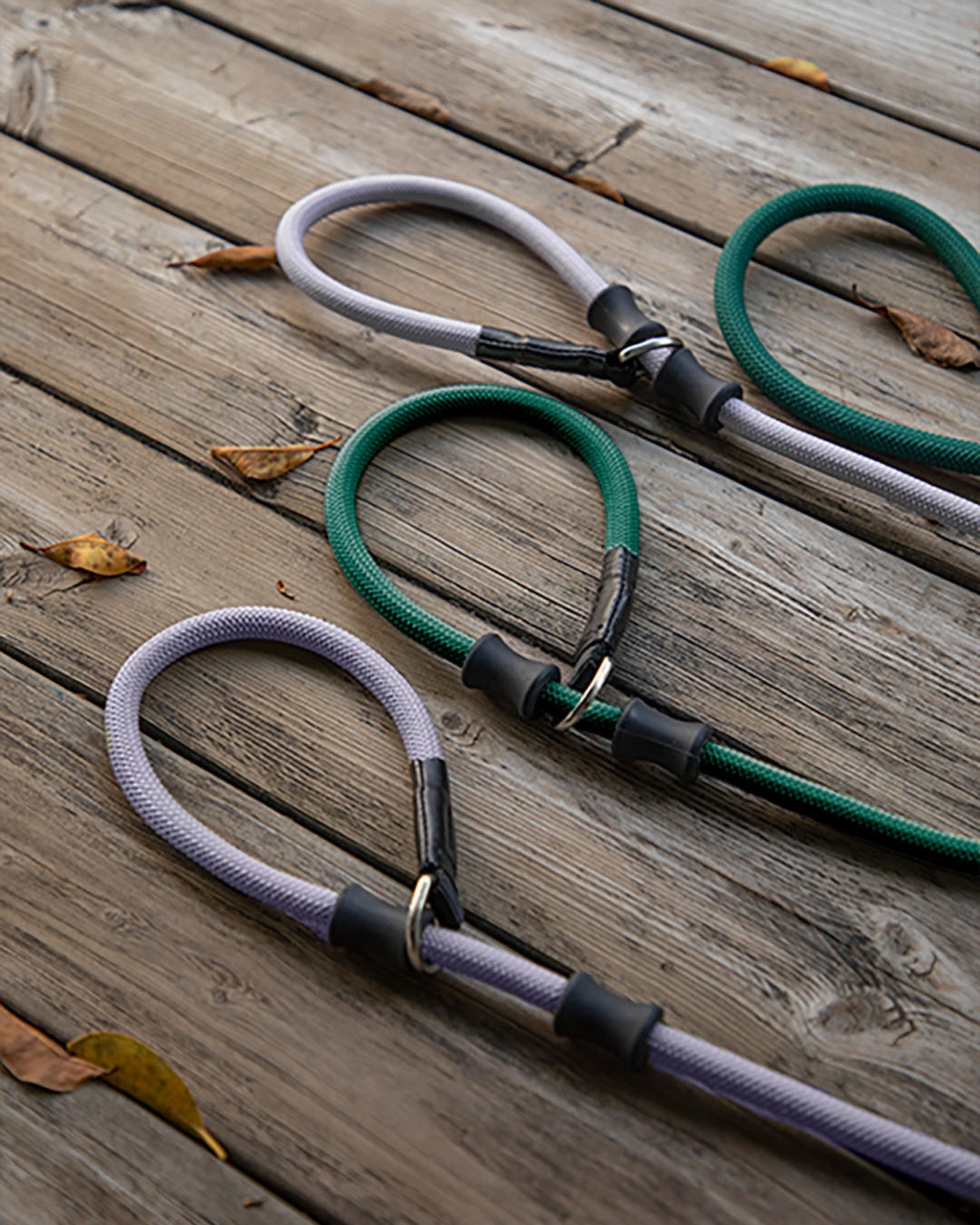 The heavy duty dog slip lead in a real natural setting