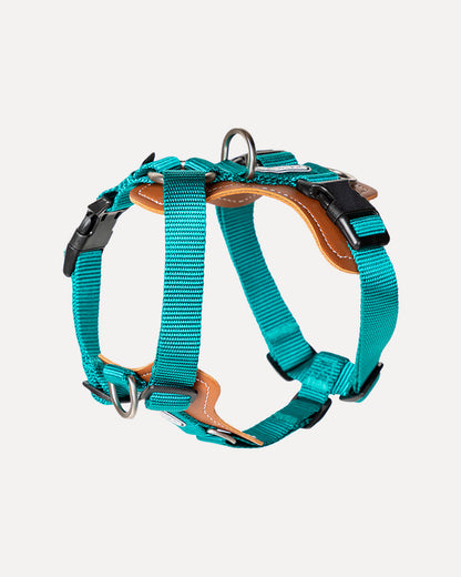 Overview of the step-in adjustable dog harness in jade green, featuring its complete design.