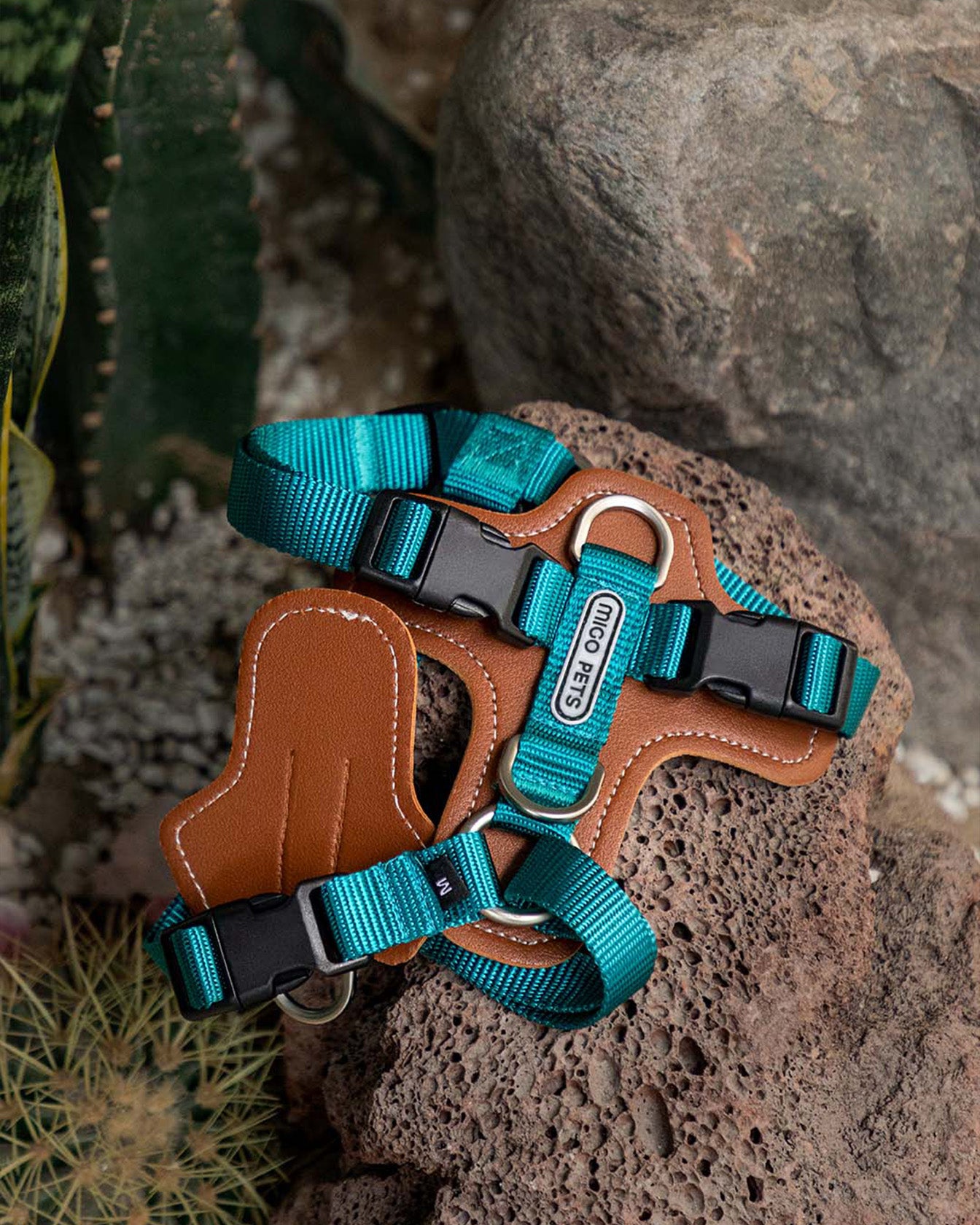 Step-in Adjustable Dog Harness Jade Green Scene