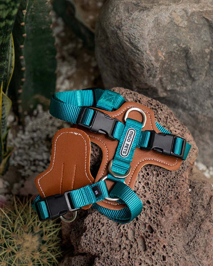 Step-in Adjustable Dog Harness Jade Green Scene