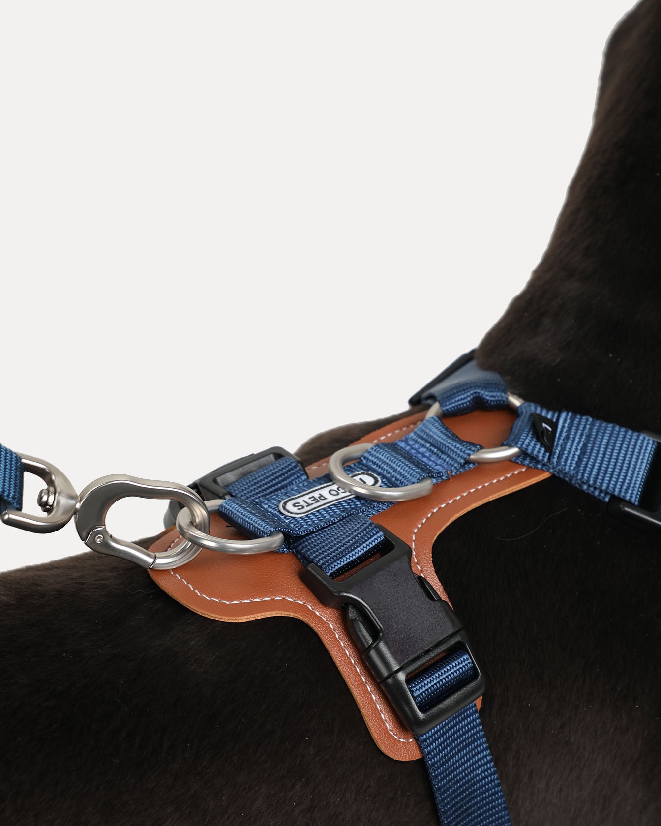 Close-up of the navy-blue step-in adjustable dog harness with durable metal hardware and adjustable straps for a secure fit.