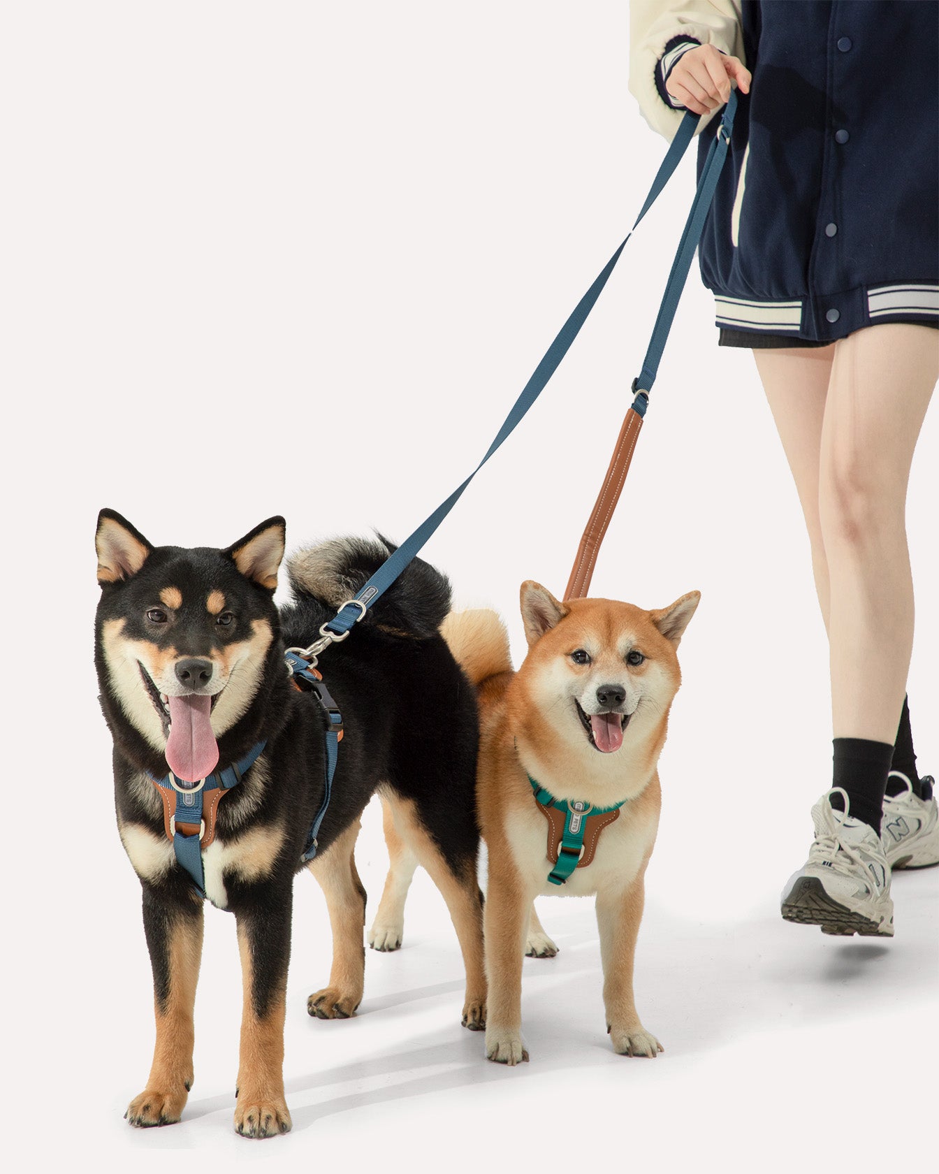 Two dogs in a navy-blue step-in adjustable dog harness on a walk. Its design evenly distributes tension, reducing neck and chest pressure for added comfort.