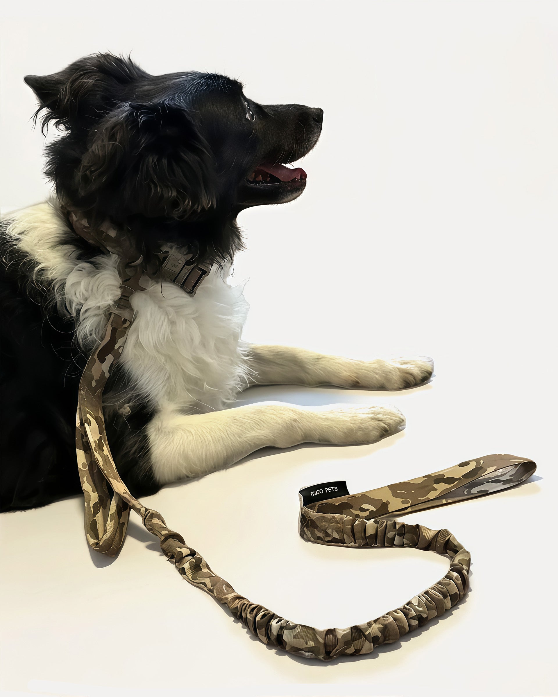 Dog wearing tactical no-pull leash in camouflage pattern.